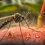Exámenes de laboratorio para descarte de dengue y virus respiratorios en Venezuela - Laboratory blood tests for dengue and respiratory virus screening in Venezuela